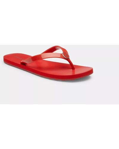 COACH Zayn Flip Flop - Red