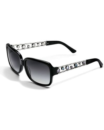 Brighton Halo Sunglasses - Black