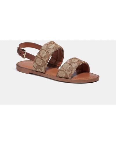 Coach outlet women's sandals new arrivals