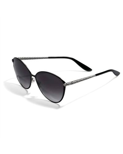 Brighton Ferrara Gatta Sunglasses - Black