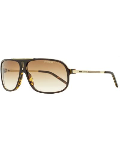 Carrera Wrap Sunglasses Cool Brown/havana/gold 65mm - Black