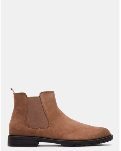 Steve Madden Colley Taupe Suede - Brown