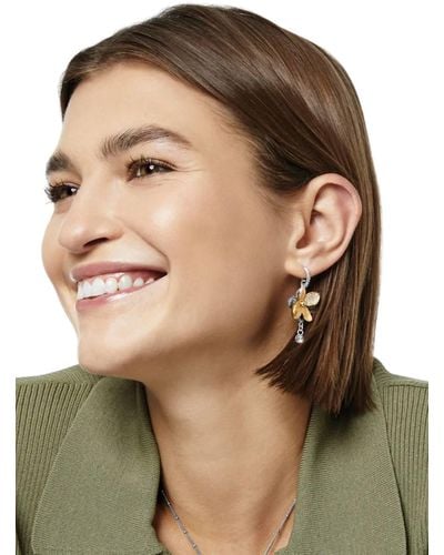 Brighton Everbloom Shine French Wire Earrings - Brown