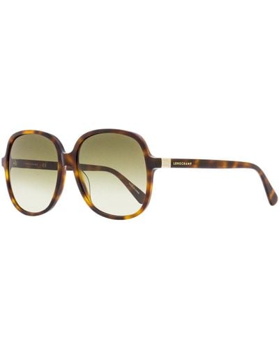 Longchamp Square Sunglasses Lo668s Havana 58mm - Black