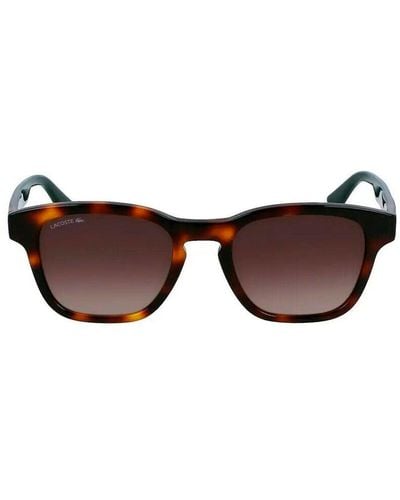 Lacoste La 986s 240 Square Sunglasses - Brown