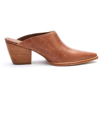 Matisse Cammy Pointed Mule In Brown