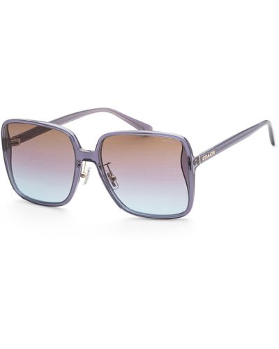 COACH 61mm Transparent Violet Sunglasses - Multicolor