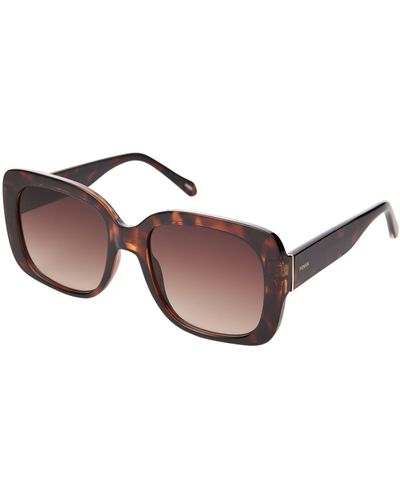 Fossil Butterfly Sunglasses - Brown