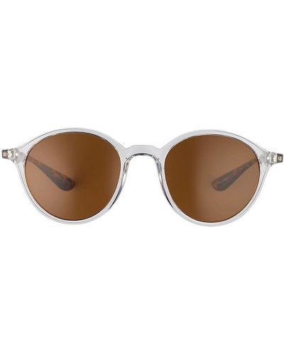 Eddie Bauer Newport Polarized Sunglasses - Brown