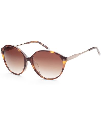 Calvin Klein 57mm Brown Sunglasses Ck4332sa-214