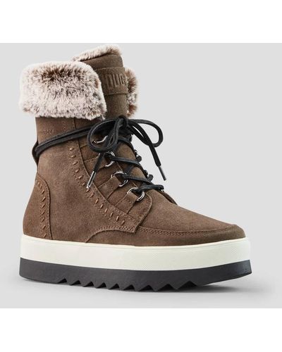 Cougar Shoes Vanetta Suede Winter Boot - Brown