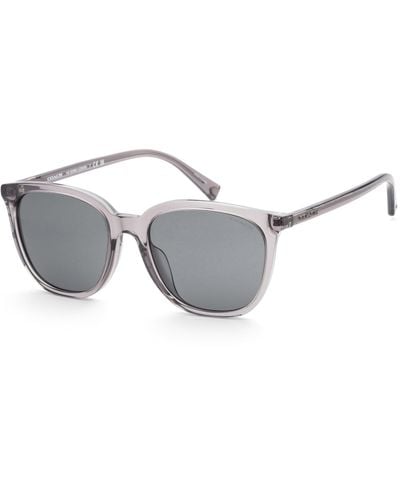 COACH 55mm Transparent Dark Sunglasses - Metallic
