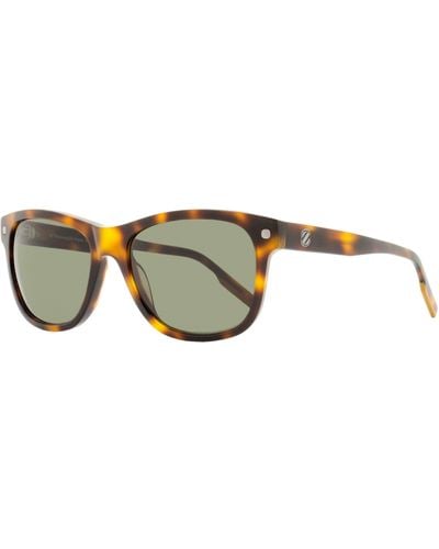 Zegna Rectangular Sunglasses Ez0196 52n Dark Havana 56mm - Black