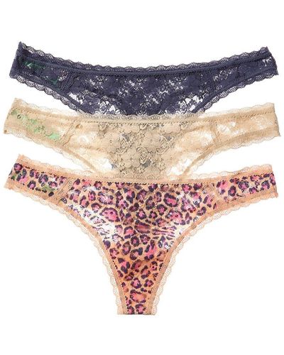 Honeydew Intimates 3pk Lady In Lace Thong - Blue