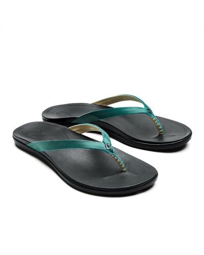Olukai Ho'opio Leather Sandal In Paradise / Black - Green