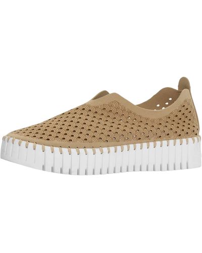 Elise jacobsen shop shoes