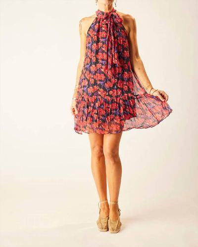 Natalie martin dress sale new arrivals