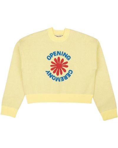 Opening Ceremony Pale Cropped Oc Flower Sweater - White