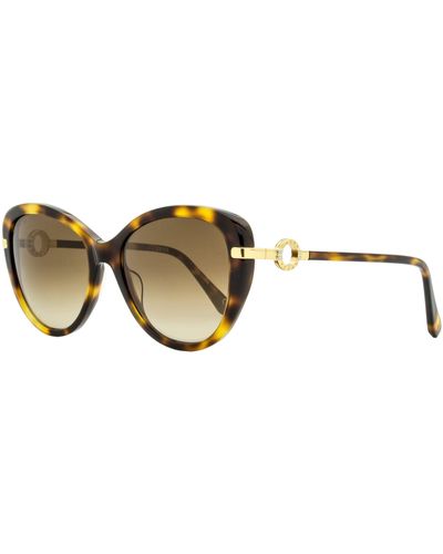 Omega Cat Eye Sunglasses Om0032 Havana/gold 56mm - Black