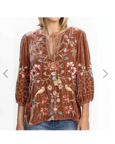 Johnny Was Claria Velvet Blouse - Brown