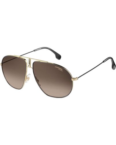 Carrera Bound Gold Frame Brown Gradient Lens Sunglasses - Black