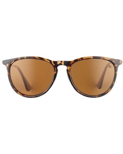 Eddie Bauer Montlake Polarized Sunglasses - Brown