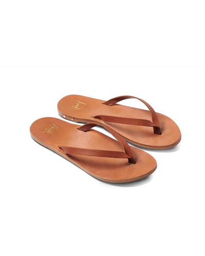 Beek Seabird Thong Sandal In Tan/tan - Black