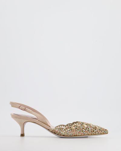 Rene Caovilla Baby And Multi-colour Lace Pointed Toe Heels With Diamanté And Pearl Detail - Natural