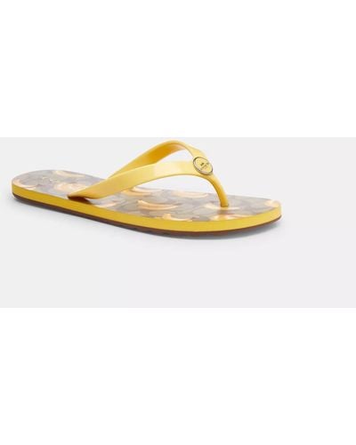 COACH Zayn Flip Flop With Fruit Print - Yellow