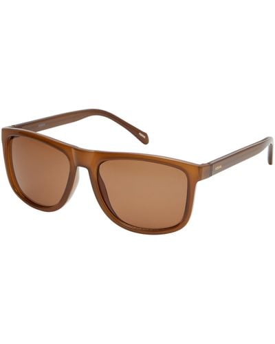Fossil Square Sunglasses - Brown