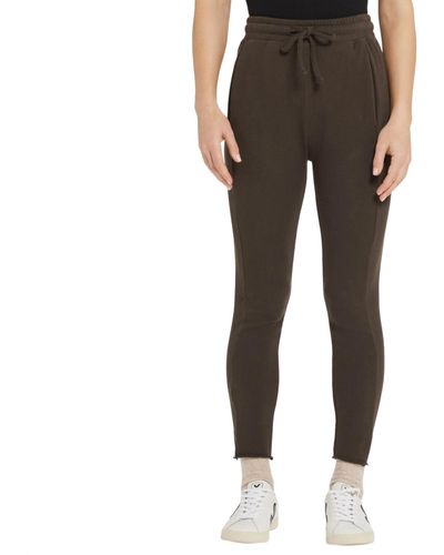 Goldie Rogue French Terry Everyday Pant - Brown