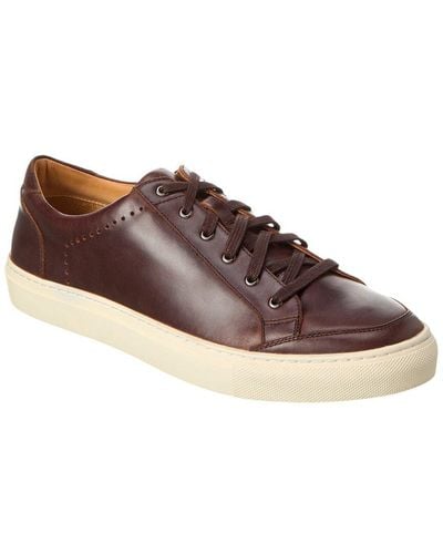 Warfield & Grand Morgan Leather Sneaker - Brown