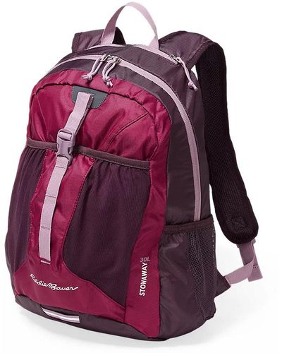 Eddie Bauer Stowaway Packable 30l Backpack - Purple