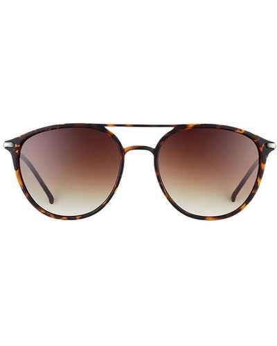 Eddie Bauer Mercer Sunglasses - Brown