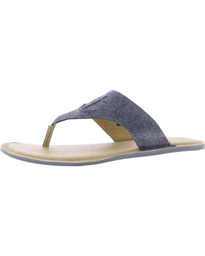 Sperry Top-Sider Seaport Thong Leather Flip-flop Thong Sandals - Blue