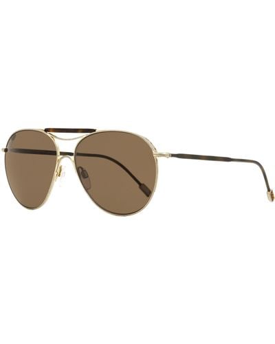 Zegna Couture Sunglasses Zc0021 29j Antique /havana 57mm - Black