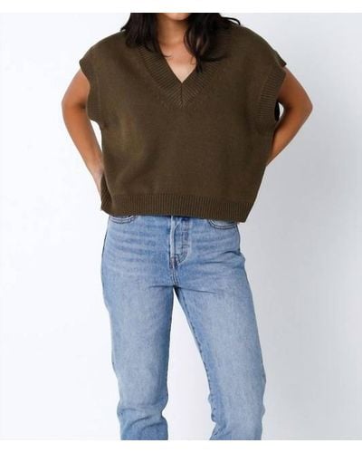 Olivaceous Norah Sweater Vest - Multicolor