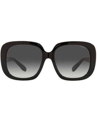COACH 0hc8323u 50028g Butterfly Sunglasses - Black