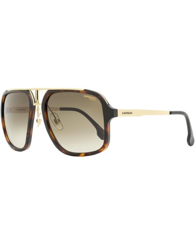 Carrera Navigator Sunglasses 1004/s Havana/gold 57mm - Black