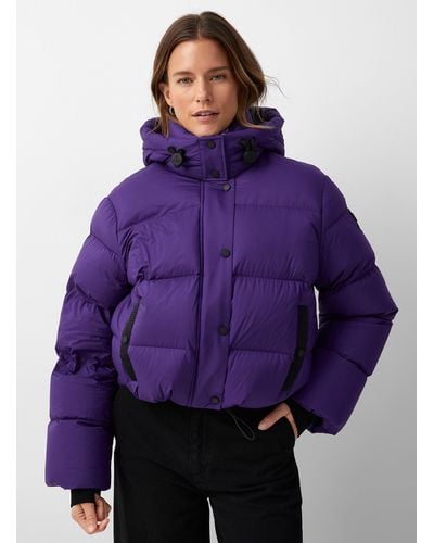 Purple Moose Knuckles Clothing for Women
