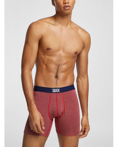 Saxx Underwear Co. Mini - Red
