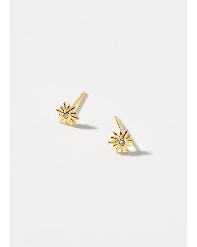 Orelia Small Shimmery Floral Earrings - White