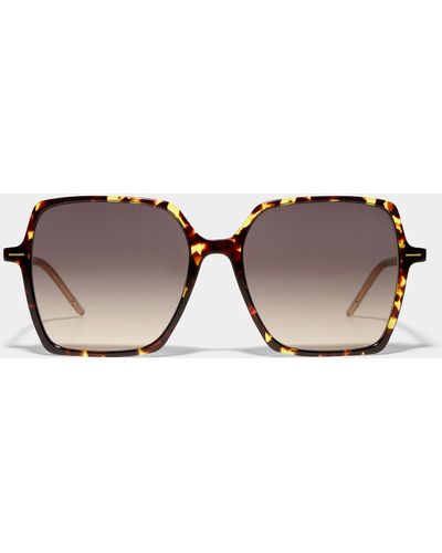 BOSS Large Square Sunglasses - Brown