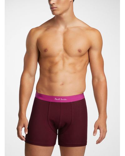 Paul Smith Colourful Waist Solid Boxer Brief - Purple