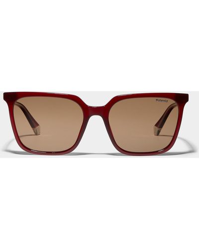 Polaroid Bold Square Sunglasses - Brown