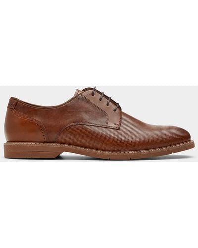 Steve Madden Maroone Derby Shoes Men - Brown