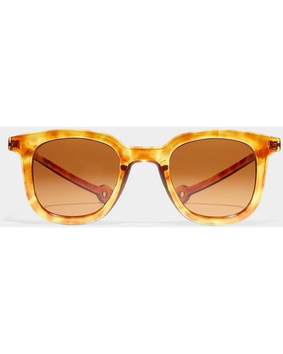 Parafina Cauce Retro Sunglasses - Brown