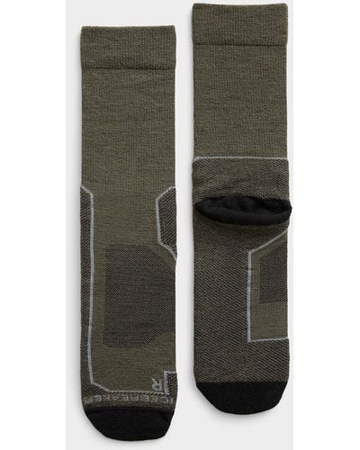 Icebreaker Merino Hiking Sock - Green