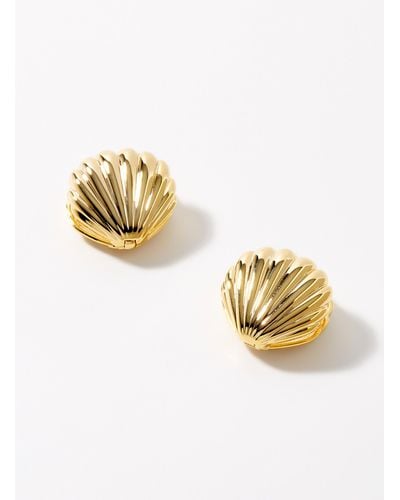 Orelia Golden Shell Earrings - Metallic