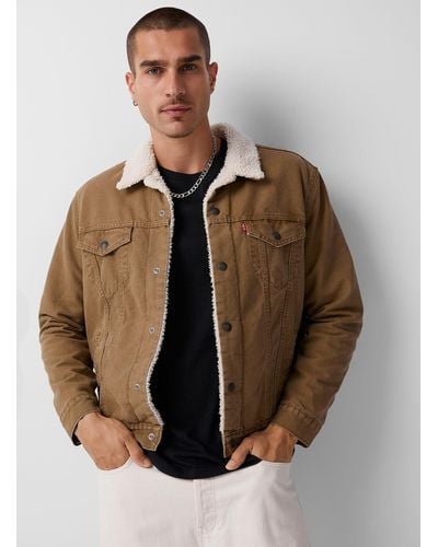 Levi's Sherpa - Brown